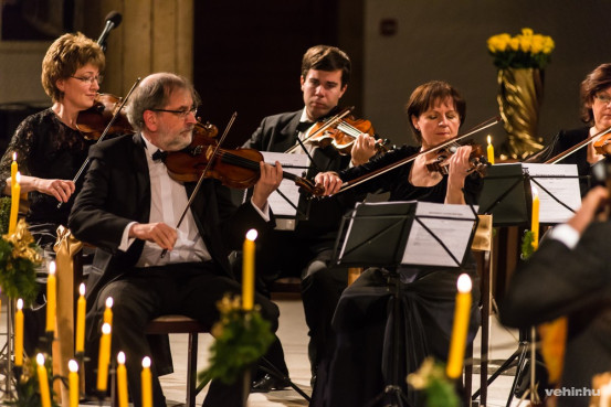 Még több kép ide kattintva!