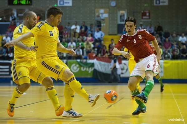 MTI Fotó: Koszticsák Szilárd