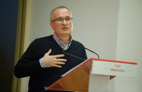 Simon Gábor (MTI-fotó)