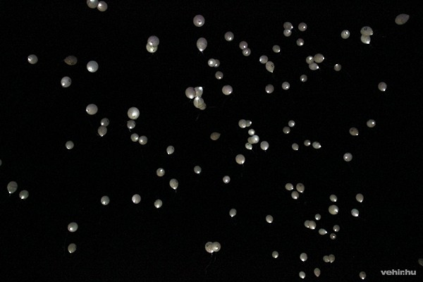 Több száz világító lufi emelkedett a magasba