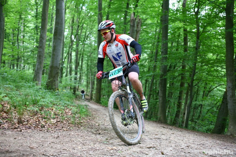 Lehoczky Szilveszter