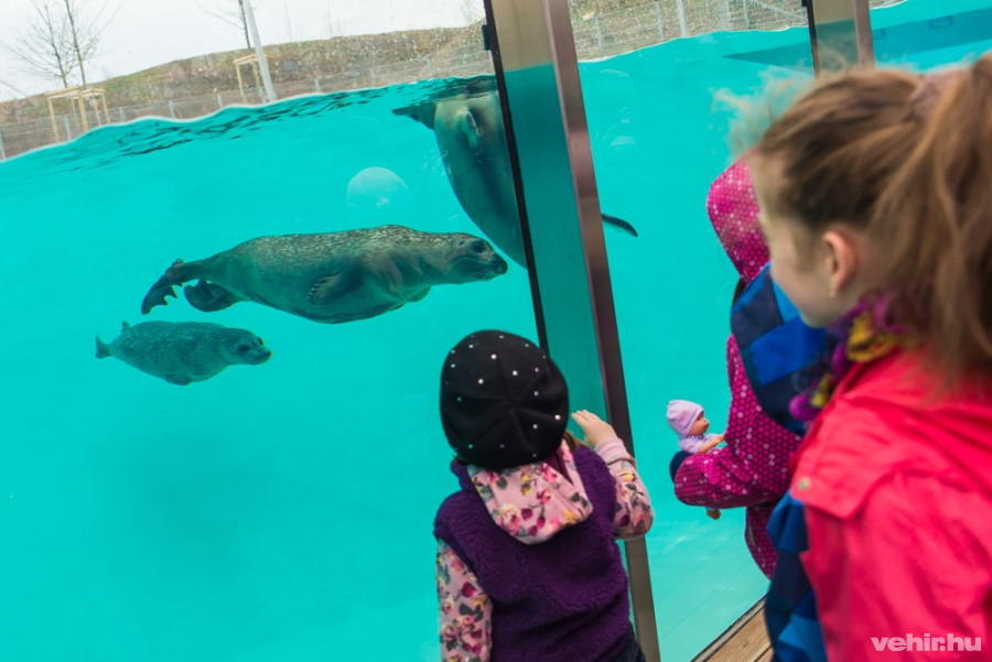 (Fotó: vehir archiv)