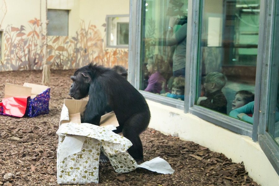 Fotók: Veszprémi Állatkert