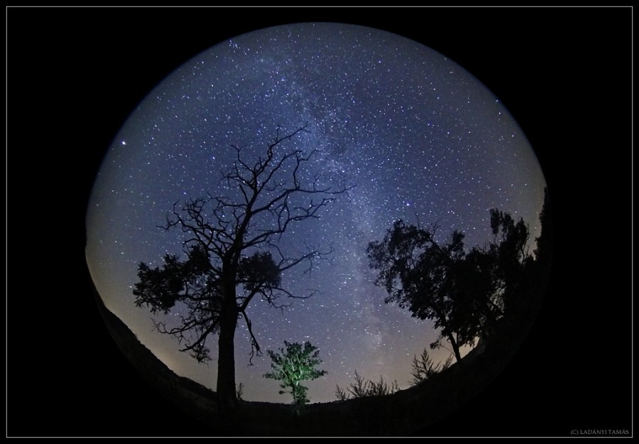 Ladányi Tamás asztrofotográfus kiállítása nagy sikert aratott (Fotó: asztrotajkep.hu)