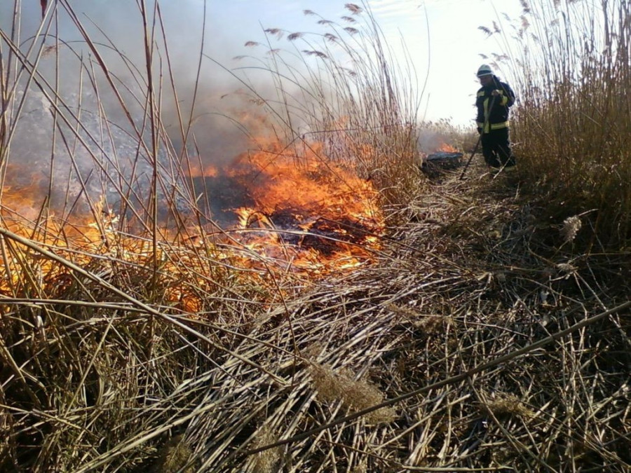 (Illusztráció. Forrás: langlovagok.hu)