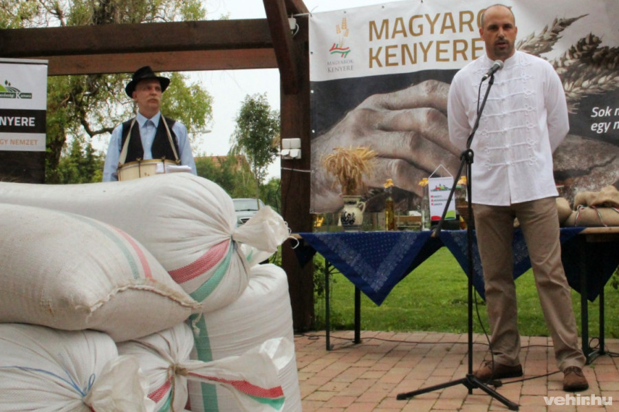 Sövényházi Balázs