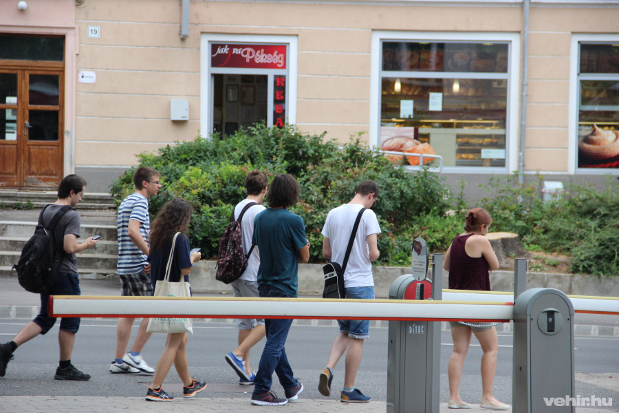 Indulhat a csoportos pokémon vadászat