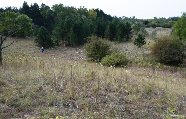 A szervezők fotója