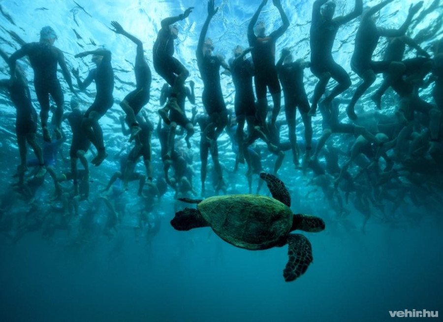 Az Ironman világbajnokság egy képben összefoglalva - fotó: Facebook - IRONMAN