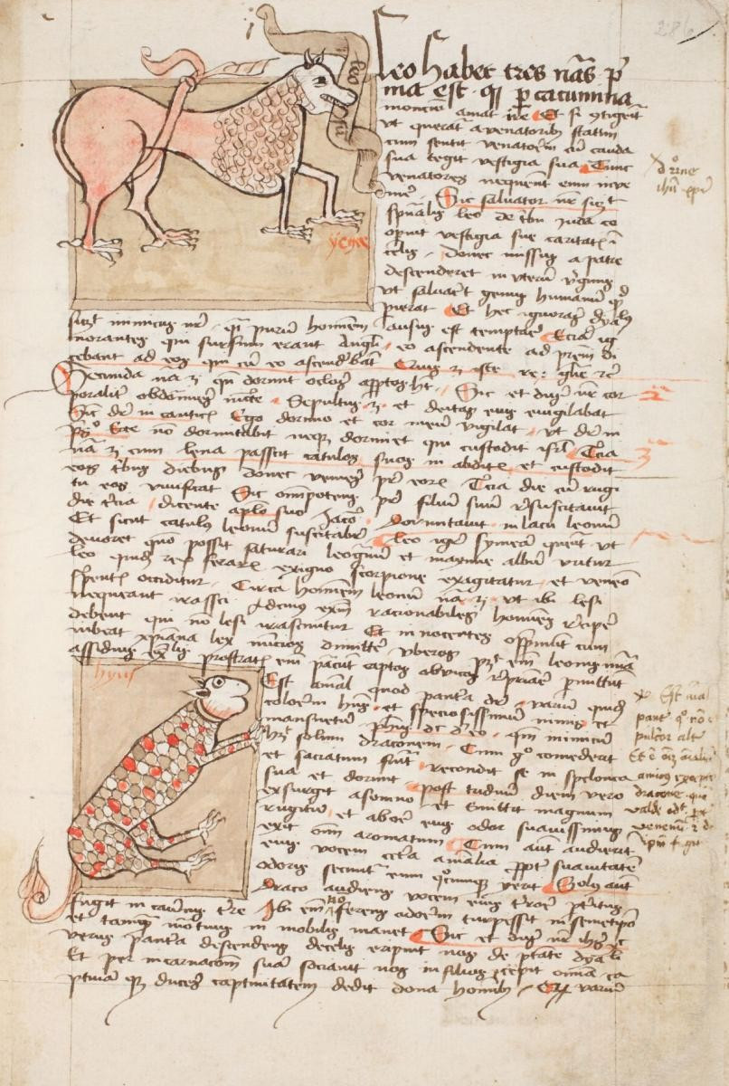 Oroszlán és párduc (oszk.hu)