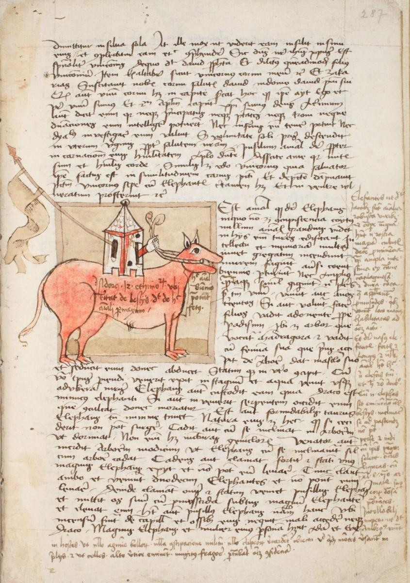 Elefánt, ahogy Zircen elképzelték (oszk.hu)