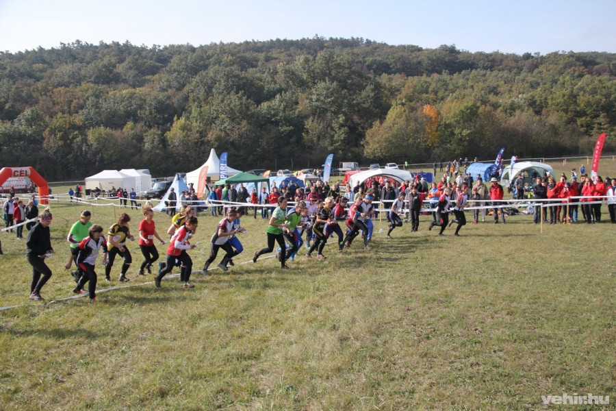 Népes mezőny a versenyen - Fotók: Máthé István