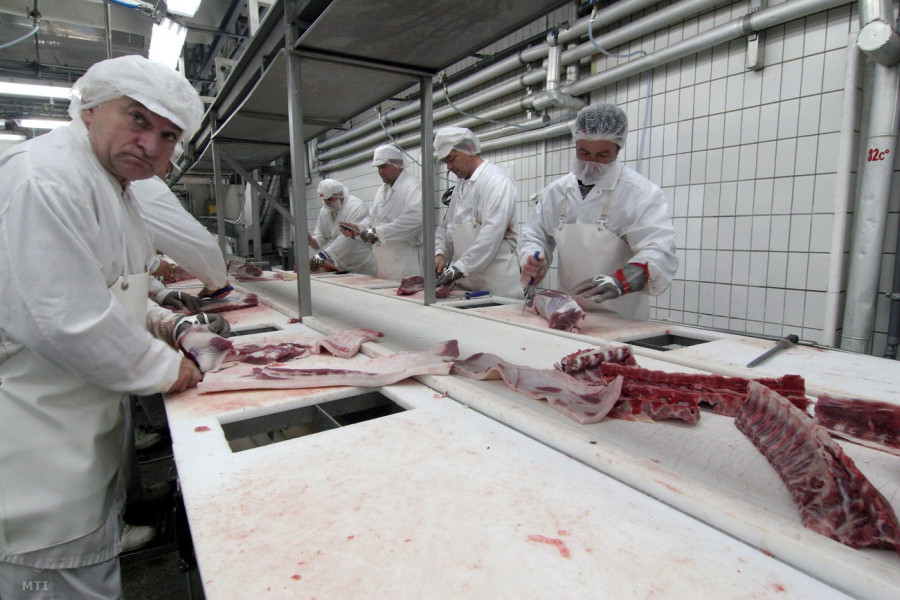 (Fotó: Nagy Lajos, MTI)