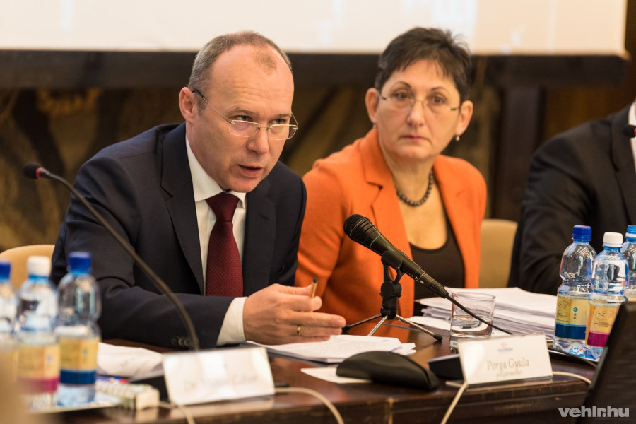 Porga Gyula és Brányi Mária