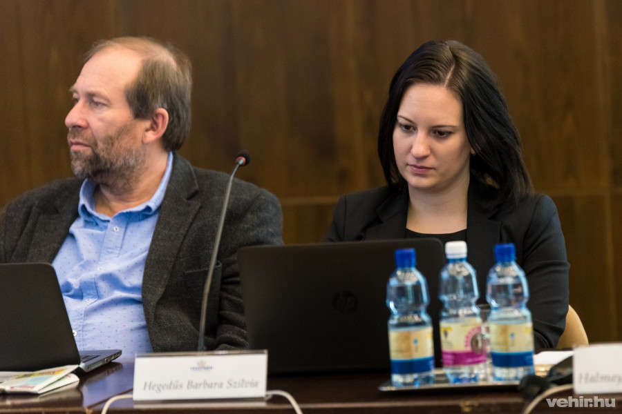 Strenner Zoltán és Hegedűs Barbara