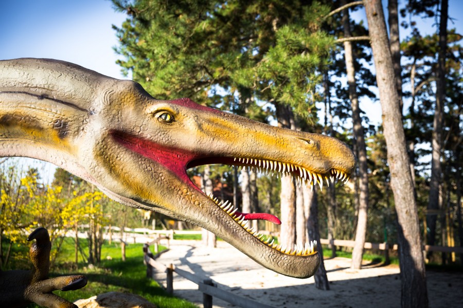 spinosaurus. Fotó: veszprémi állatkert