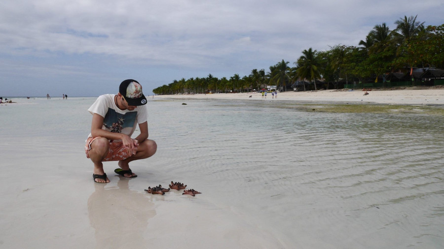 Utazómajom / Fotó: Tóth Ákos