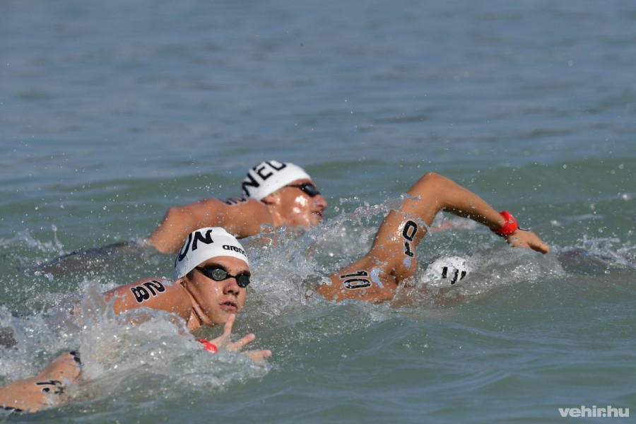 Rasovszky Kristóf (b) és Gyurta Gergely (j) a vizes vb férfi 25 kilométeres nyíltvízi úszásának versenyében Balatonfüreden. MTI Fotó: Szigetváry Zsolt