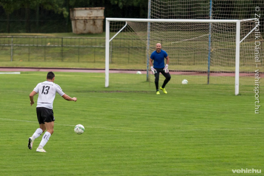 Vereséggel rajtolt a VLS Veszprém (archív fotó)
