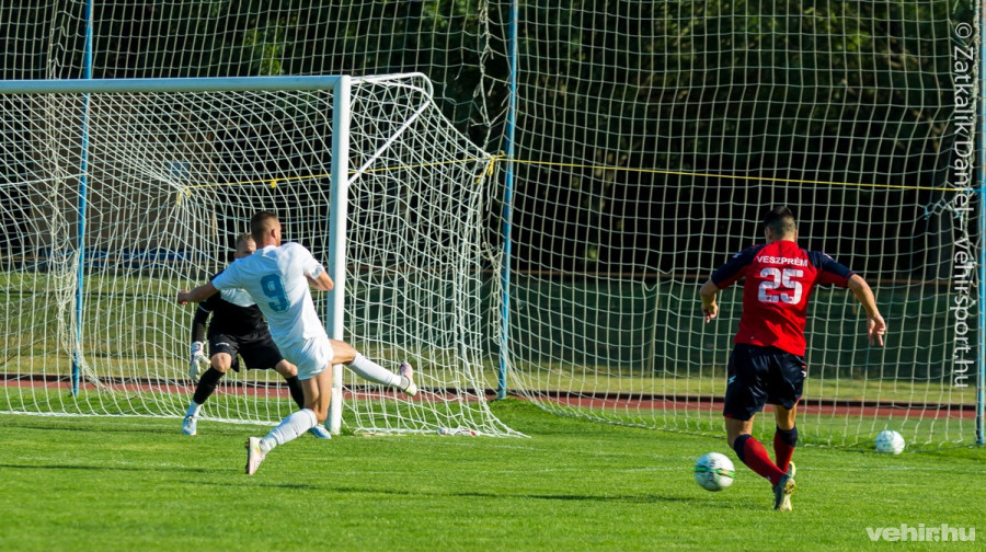 Kiütéssel nyert a VLS Veszprém (archív fotó)