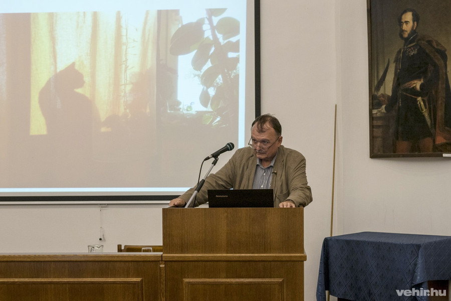 Török Ádám schrödinger macskájához hasonlította a brexit ügyet