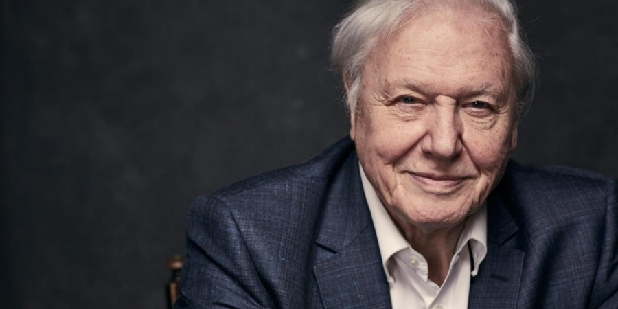 Sir David Attenborough (fotó:BBC)