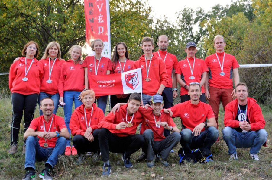 A VHSE dobogós alakulatai