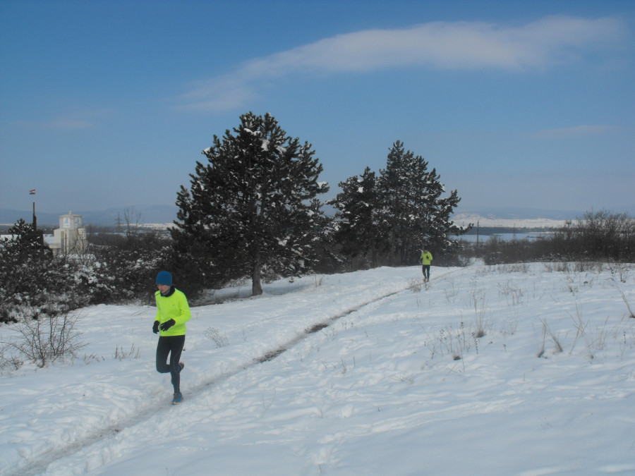 A terep - a pálya nagy részén ilyen körülmények között futottak a versenyzők - Fotó: Mérő Edit