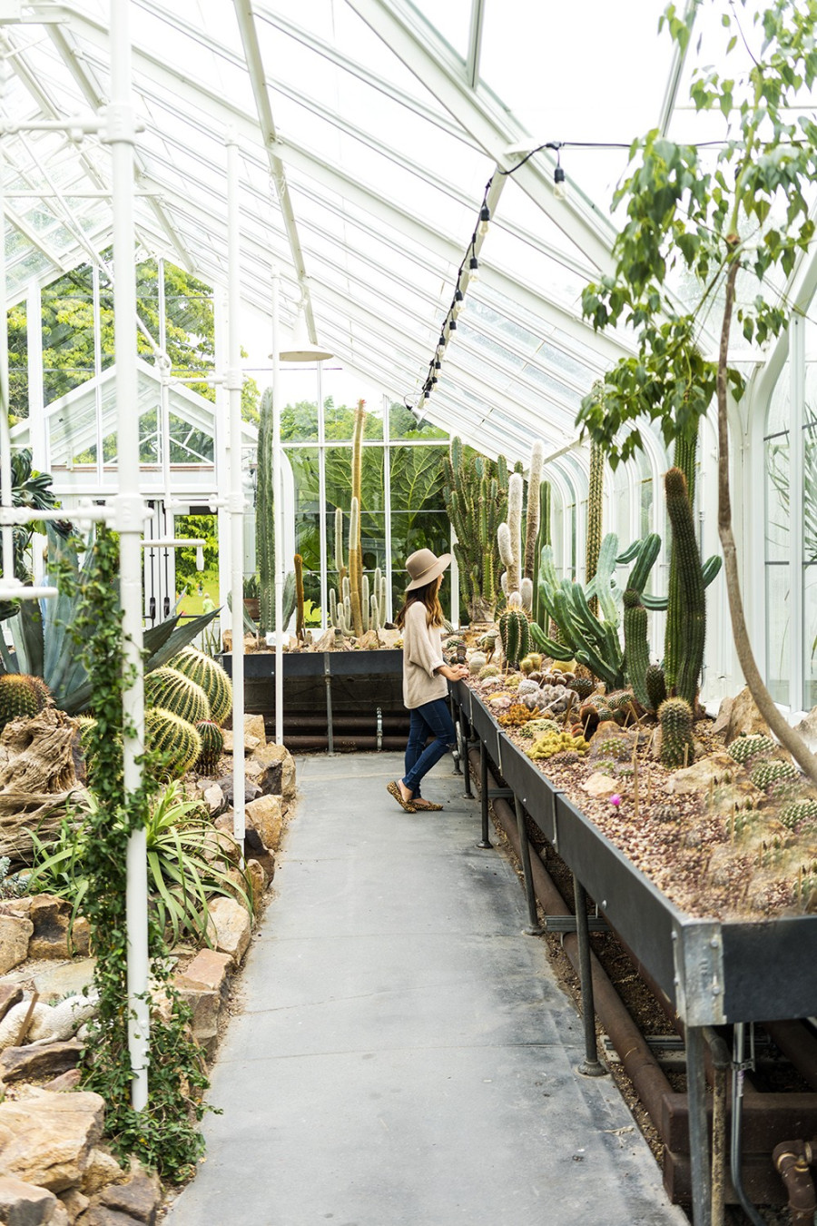 Botanikus kertbe menni most a világ egyik legmenőbb dolga /Fotó: A taste of Koko