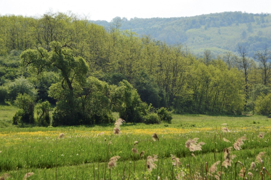 Fotók: Bálint Mónika