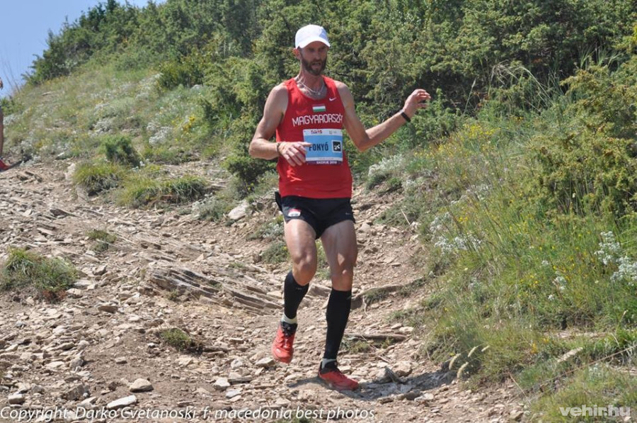 Fonyó Sándor - Fotók: VEDAC