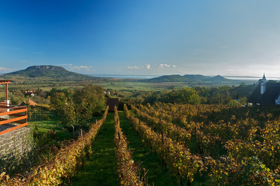 Foto: THINKSTOCK (via life.hu)