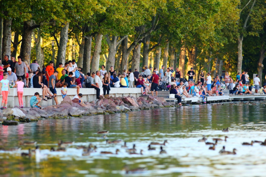 Idén is nagy nyüzsgés várható