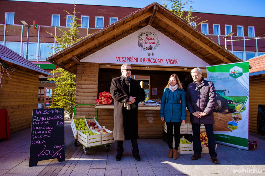 Némedi Lajos, Végváriné Henter Lilla, Radovits Tibor