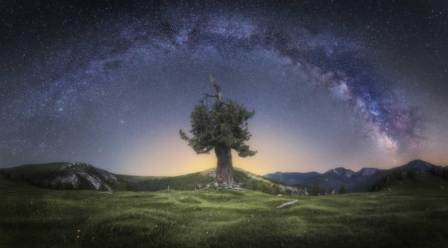 Fotó: Daniel Trippolt