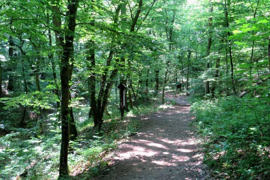 forrás: termalfurdo.hu