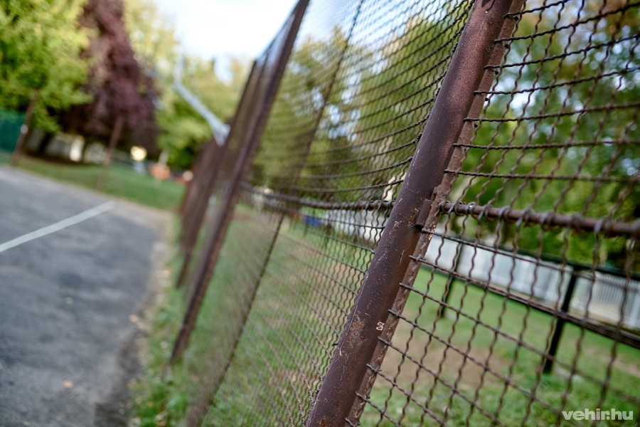 Lefestik a kerítést