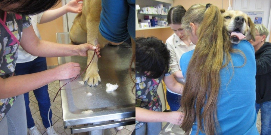 A rácsok mögött is élnek hősök: Gézu az élő példa
