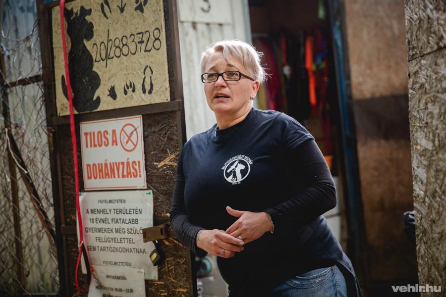 Böröczky Veronika, az egyesület elnöke