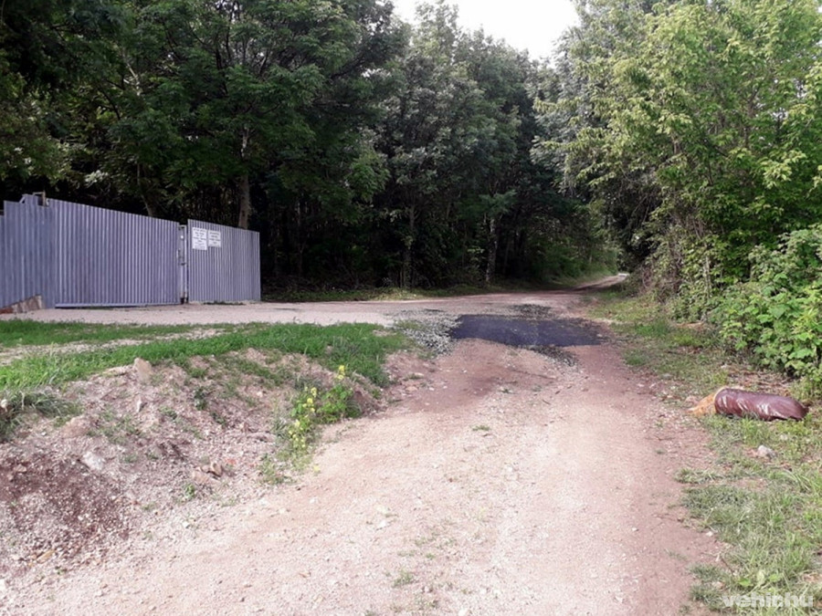 Egy korábbi fénykép: jobb oldalon a kidobott, elhunyt állat teteme látható 