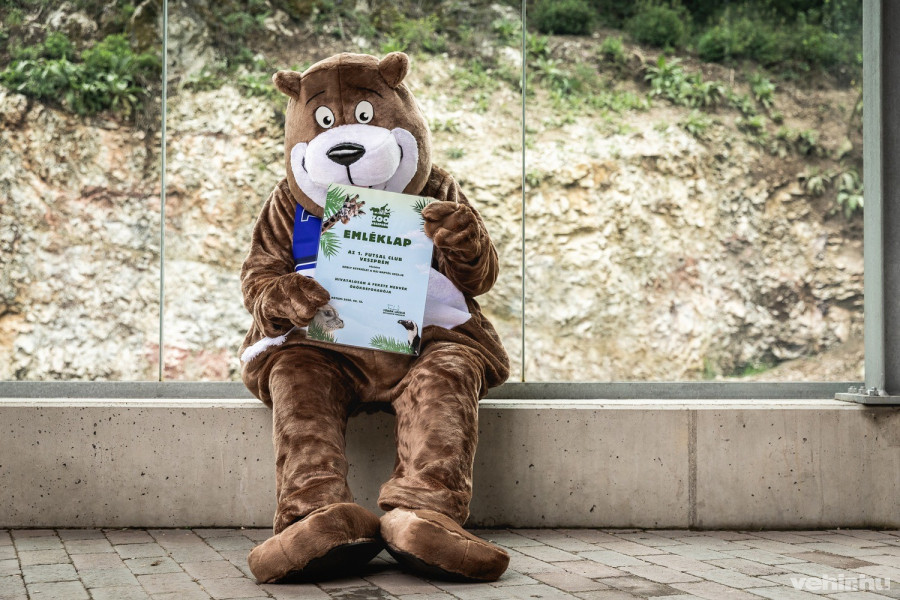 A futsalosok örökös gyúrójának keresztneve, a (Görgics) Kálmán is szóbekerült