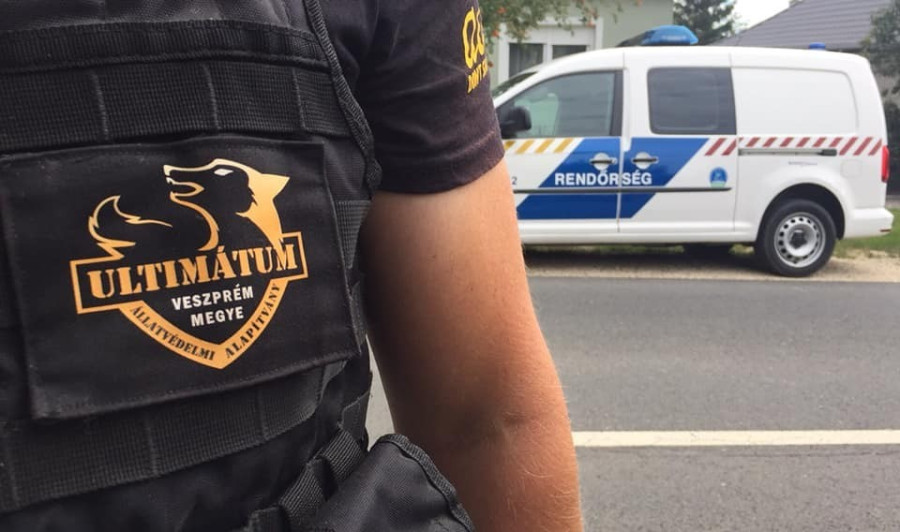 Együtt a bajba jutott állatokért