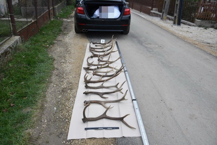 Fotó: Veszprémi Rendőrkapitányság