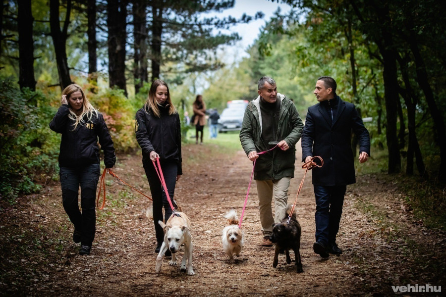 (fotó: Kovács Bálint / vehir archív)