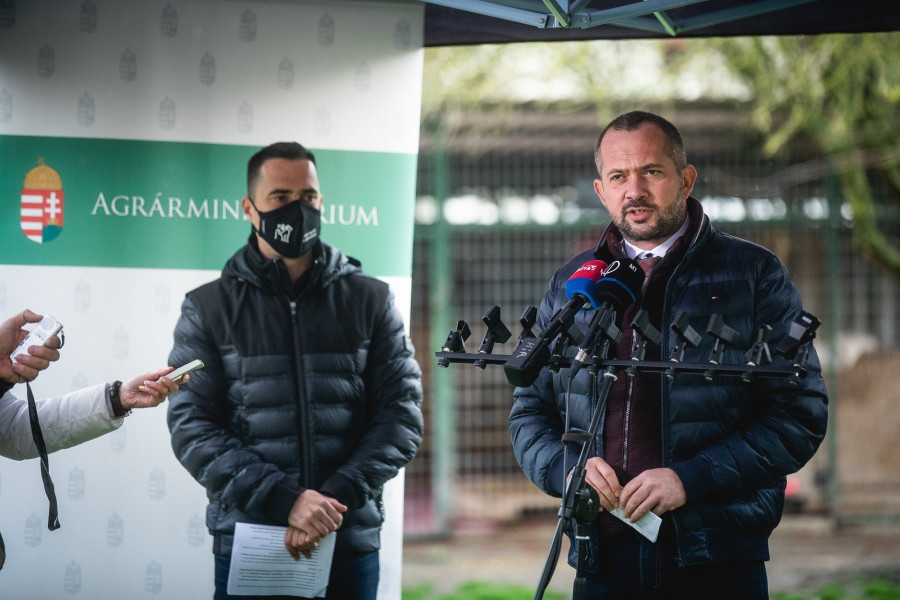 Gyopáros Alpár, kormánybiztos