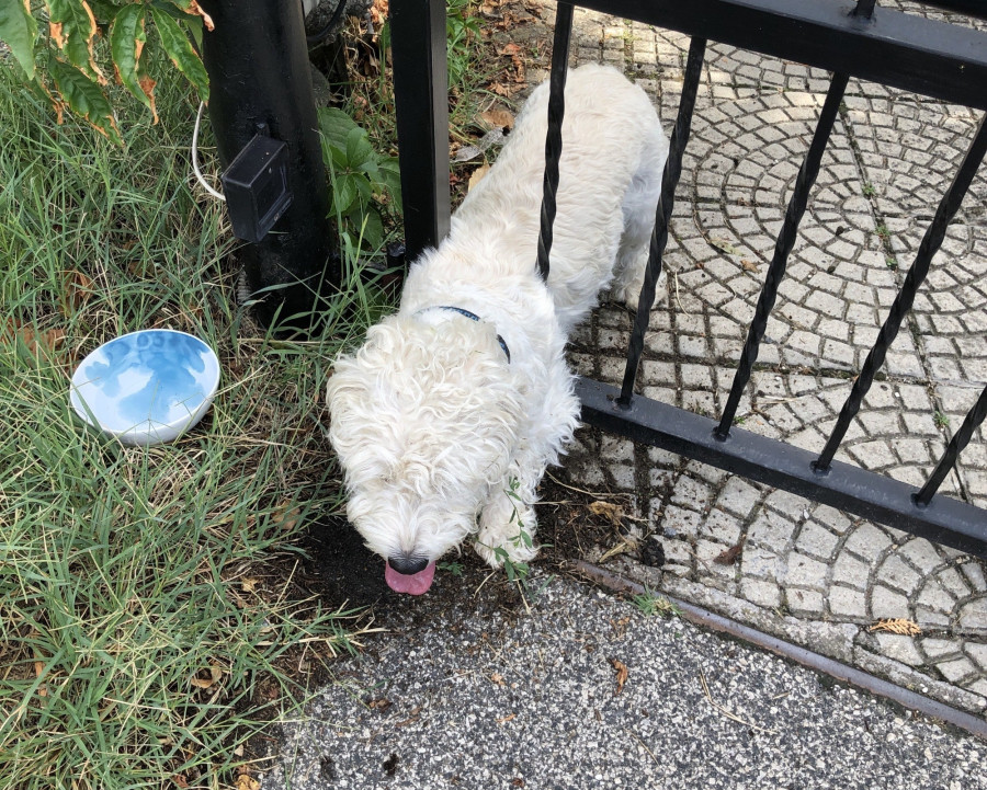 Te meg hogy kerültél ide?