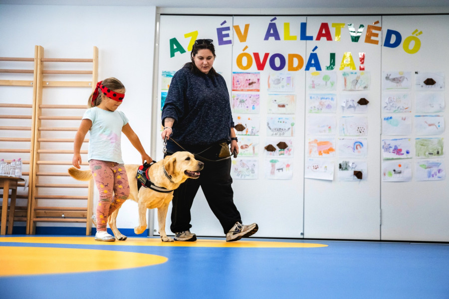 (Fotó: Kovács Bálint)