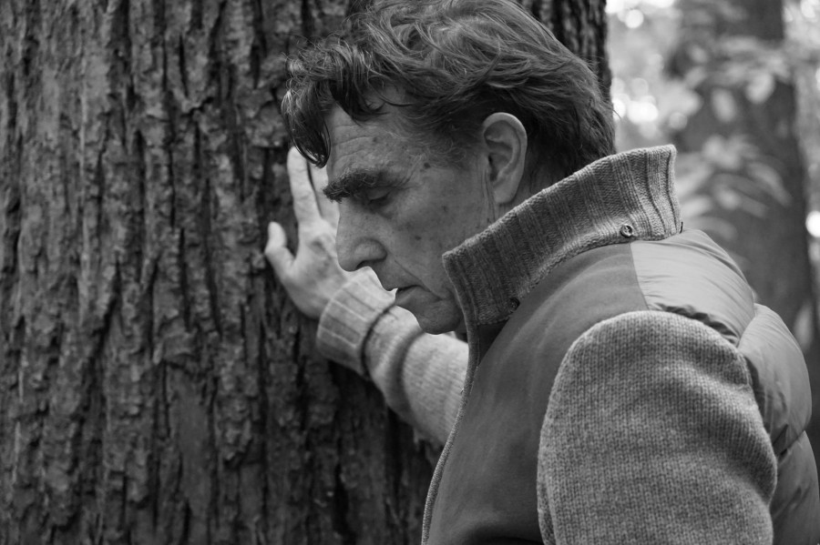 Illusztráció: Beth MacDonald / Unsplash