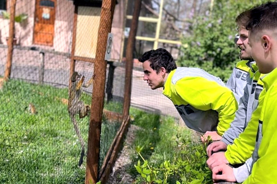 A győri állatkertben járt a "kis Veszprém" - Fotó: Fejér-B.Á.L. Veszprém