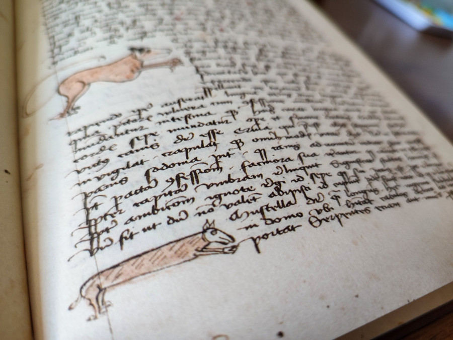 Menyét a Bestiarium Zircensesben